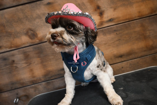 The Denim Wrangler (Pink)