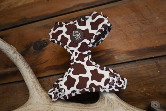 Howdy Cow Harness