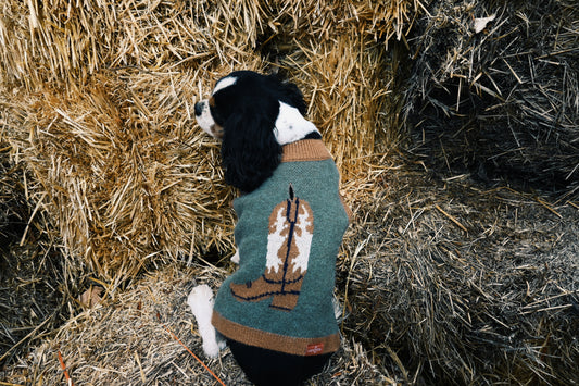 Howdy Hound Sweater